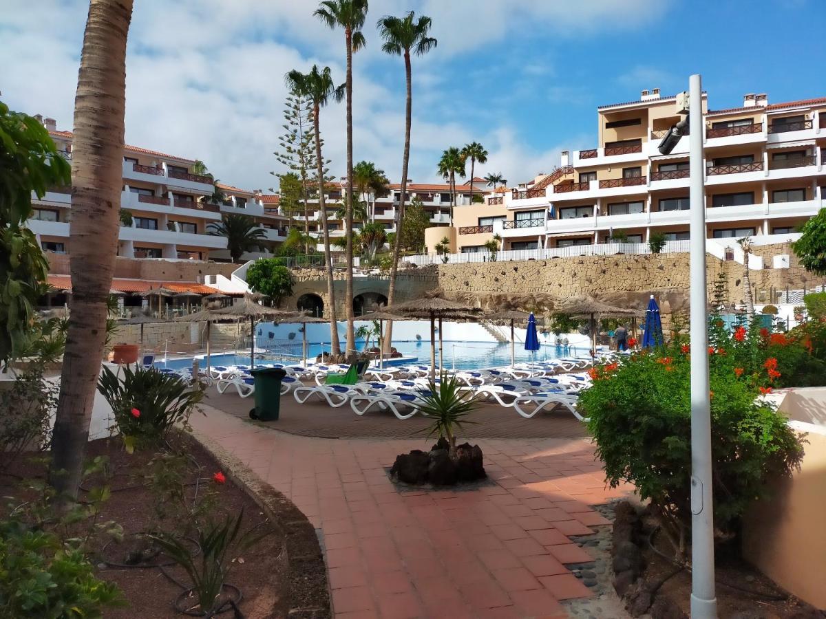 Apartment South Tenerife San Miguel de Abona Exteriör bild